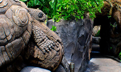 Discovery Island Trails