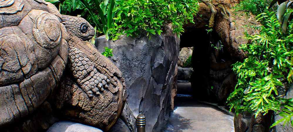 Discovery Island Trails