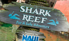 Shark Reef