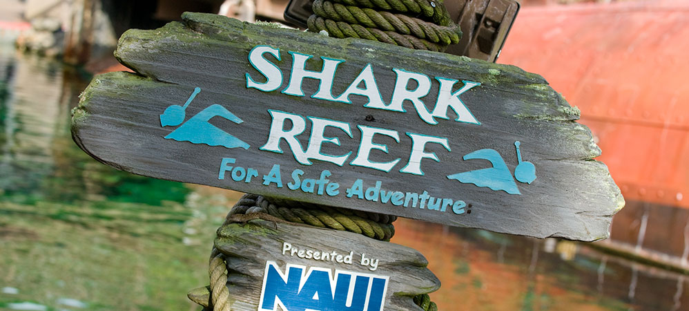 Shark Reef Shark Reef