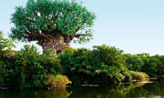 The Tree of Life