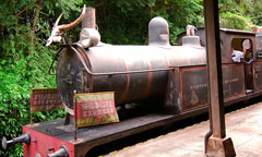 Wildlife Express Train Wildlife Express Train