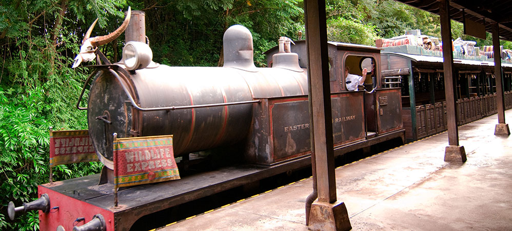 Wildlife Express Train