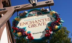 Enchanted Grove
