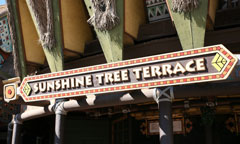 Sunshine Tree Terrace
