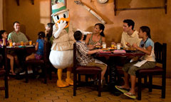 Donald's Breakfast Safari