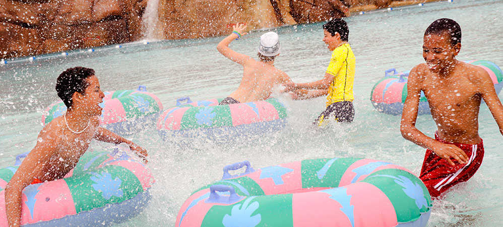Theme Parks Media Area
