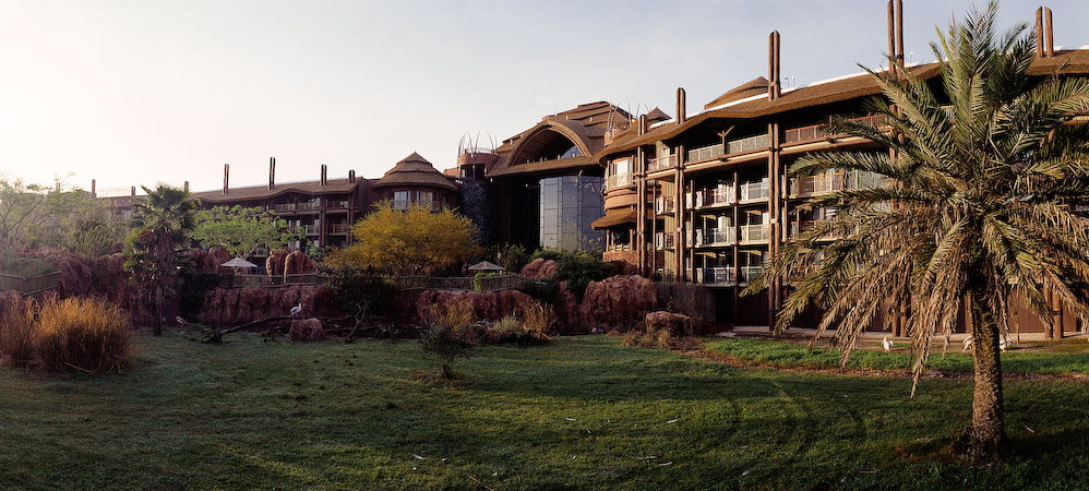animal kingdom lodge