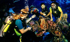 Epcot DiveQuest Epcot DiveQuest