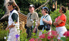 Gardens of the World