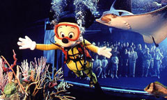Seas Aqua Tour Seas Aqua Tour