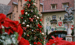 Yuletide Fantasy