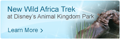 New Wild Africa Trek at Disney's Animal Kingdom Park