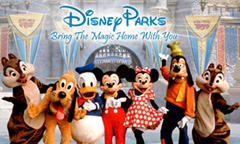 Disney Parks Store