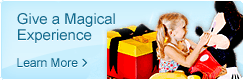 Give a Magical Experience