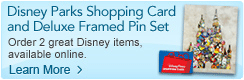 Disney Parks Shopping Card and Deluxe Framed Pin Set