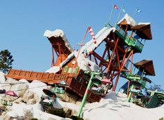Disney's Blizzard Beach