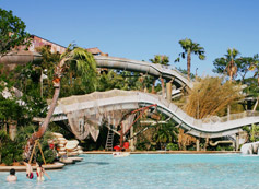 Disney's Typhoon Lagoon